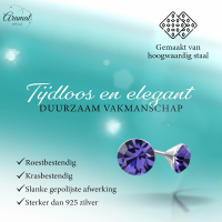 Mini Oorstekers Violet Paars &acirc;&euro;&ldquo; 3mm &acirc;&euro;&ldquo; RVS -