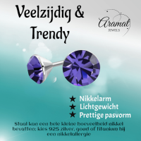 Mini Oorstekers Violet Paars &acirc;&euro;&ldquo; 3mm &acirc;&euro;&ldquo; RVS -