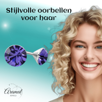 Mini Oorstekers Violet Paars &acirc;&euro;&ldquo; 3mm &acirc;&euro;&ldquo; RVS -