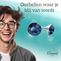 Stalen Kristal Oorbellen met denimblauw steentje &acirc;&euro;&ldquo; Zilverkleur &acirc;&euro;&ldqu