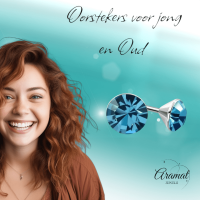 Stalen Kristal Oorbellen met saffierblauw steentje &acirc;&euro;&ldquo; Zilverkleur &acirc;&euro;&ld