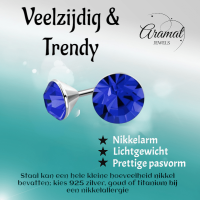 Stalen Kristal Oorbellen met koningsblauw steentje &acirc;&euro;&ldquo; Zilverkleur &acirc;&euro;&ld