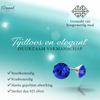 Stalen Kristal Oorbellen met koningsblauw steentje &acirc;&euro;&ldquo; Zilverkleur &acirc;&euro;&ld