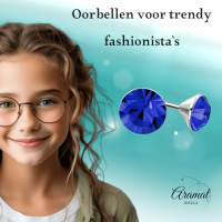 Stalen Kristal Oorbellen met koningsblauw steentje &acirc;&euro;&ldquo; Zilverkleur &acirc;&euro;&ld