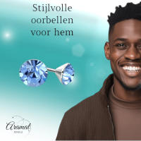 Stalen Kristal Oorbellen met lichtblauw steentje &acirc;&euro;&ldquo; Zilverkleur &acirc;&euro;&ldqu