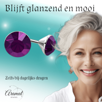 Stalen Kristal Oorbellen met paars steentje &acirc;&euro;&ldquo; Zilverkleur &acirc;&euro;&ldquo; 3m