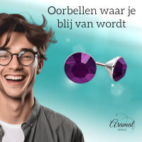 Stalen Kristal Oorbellen met paars steentje &acirc;&euro;&ldquo; Zilverkleur &acirc;&euro;&ldquo; 3m