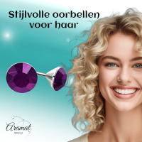Stalen Kristal Oorbellen met paars steentje &acirc;&euro;&ldquo; Zilverkleur &acirc;&euro;&ldquo; 3m