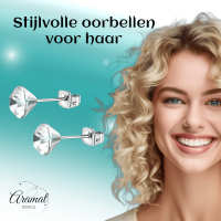 Stalen Kristal Oorbellen met transparant steentje &acirc;&euro;&ldquo; Zilverkleur &acirc;&euro;&ldq