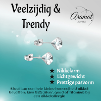 Stalen Kristal Oorbellen met transparant steentje &acirc;&euro;&ldquo; Zilverkleur &acirc;&euro;&ldq