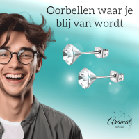 Stalen Kristal Oorbellen met transparant steentje &acirc;&euro;&ldquo; Zilverkleur &acirc;&euro;&ldq
