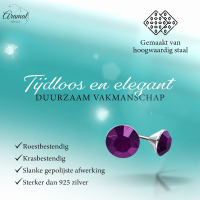 Stalen Kristal Oorbellen met paarse steentjes &acirc;&euro;&ldquo; Zilverkleur &acirc;&euro;&ldquo; 