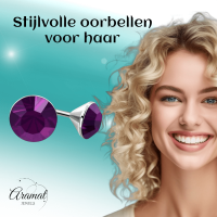 Stalen Kristal Oorbellen met paarse steentjes &acirc;&euro;&ldquo; Zilverkleur &acirc;&euro;&ldquo; 