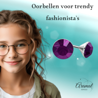 Stalen Kristal Oorbellen met paarse steentjes &acirc;&euro;&ldquo; Zilverkleur &acirc;&euro;&ldquo; 