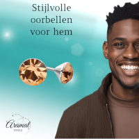 Stalen Kristal Oorbellen met champagnekleurig steentje &acirc;&euro;&ldquo; Zilverkleur &acirc;&euro