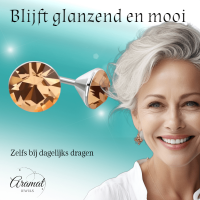Stalen Kristal Oorbellen met champagnekleurig steentje &acirc;&euro;&ldquo; Zilverkleur &acirc;&euro