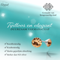 Stalen Kristal Oorbellen met champagnekleurig steentje &acirc;&euro;&ldquo; Zilverkleur &acirc;&euro