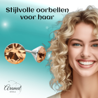 Stalen Kristal Oorbellen met champagnekleurig steentje &acirc;&euro;&ldquo; Zilverkleur &acirc;&euro