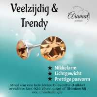 Stalen Kristal Oorbellen met champagnekleurig steentje &acirc;&euro;&ldquo; Zilverkleur &acirc;&euro