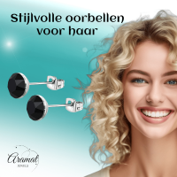 Stalen Kristal Oorbellen met zwarte steentjes &acirc;&euro;&ldquo; Zilverkleur &acirc;&euro;&ldquo; 