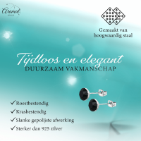 Stalen Kristal Oorbellen met zwarte steentjes &acirc;&euro;&ldquo; Zilverkleur &acirc;&euro;&ldquo; 