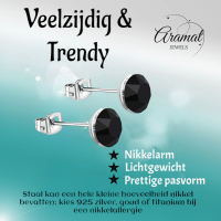 Stalen Kristal Oorbellen met zwarte steentjes &acirc;&euro;&ldquo; Zilverkleur &acirc;&euro;&ldquo; 
