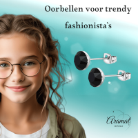 Stalen Kristal Oorbellen met zwarte steentjes &acirc;&euro;&ldquo; Zilverkleur &acirc;&euro;&ldquo; 