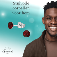 Stalen Kristal Oorbellen met donkerrood steentje &acirc;&euro;&ldquo; Zilverkleur &acirc;&euro;&ldqu