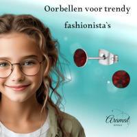Stalen Kristal Oorbellen met donkerrood steentje &acirc;&euro;&ldquo; Zilverkleur &acirc;&euro;&ldqu