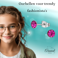 Stalen Kristal Oorbellen met fuchsiaroze steentje &acirc;&euro;&ldquo; Zilverkleur &acirc;&euro;&ldq