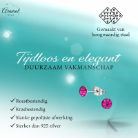 Stalen Kristal Oorbellen met fuchsiaroze steentje &acirc;&euro;&ldquo; Zilverkleur &acirc;&euro;&ldq