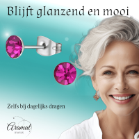 Stalen Kristal Oorbellen met fuchsiaroze steentje &acirc;&euro;&ldquo; Zilverkleur &acirc;&euro;&ldq