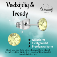 Stalen Kristal Oorbellen met jonquil steentje &acirc;&euro;&ldquo; Zilverkleur &acirc;&euro;&ldquo; 