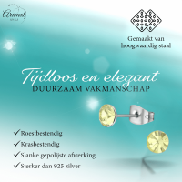 Stalen Kristal Oorbellen met jonquil steentje &acirc;&euro;&ldquo; Zilverkleur &acirc;&euro;&ldquo; 