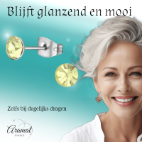 Stalen Kristal Oorbellen met jonquil steentje &acirc;&euro;&ldquo; Zilverkleur &acirc;&euro;&ldquo; 