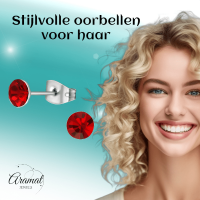 Stalen Kristal Oorbellen met lichtrode steentjes &acirc;&euro;&ldquo; Zilverkleur &acirc;&euro;&ldqu