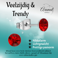 Stalen Kristal Oorbellen met lichtrode steentjes &acirc;&euro;&ldquo; Zilverkleur &acirc;&euro;&ldqu