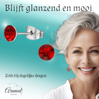 Stalen Kristal Oorbellen met lichtrode steentjes &acirc;&euro;&ldquo; Zilverkleur &acirc;&euro;&ldqu