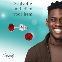 Stalen Kristal Oorbellen met lichtrode steentjes &acirc;&euro;&ldquo; Zilverkleur &acirc;&euro;&ldqu