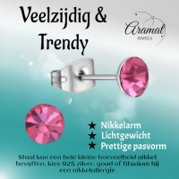 Stalen Kristal Oorbellen met roze steentje &acirc;&euro;&ldquo; Zilverkleur &acirc;&euro;&ldquo; 5mm