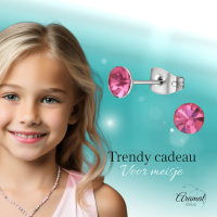 Stalen Kristal Oorbellen met roze steentje &acirc;&euro;&ldquo; Zilverkleur &acirc;&euro;&ldquo; 5mm