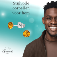 Stalen Kristal Oorbellen met topaas oranje steentje &acirc;&euro;&ldquo; Zilverkleur &acirc;&euro;&l