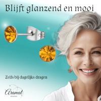 Stalen Kristal Oorbellen met topaas oranje steentje &acirc;&euro;&ldquo; Zilverkleur &acirc;&euro;&l