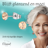 Stalen Kristal Oorbellen met champagnekleurig steentje &acirc;&euro;&ldquo; Zilverkleur &acirc;&euro