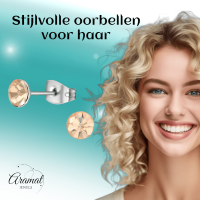 Stalen Kristal Oorbellen met champagnekleurig steentje &acirc;&euro;&ldquo; Zilverkleur &acirc;&euro