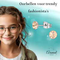 Stalen Kristal Oorbellen met champagnekleurig steentje &acirc;&euro;&ldquo; Zilverkleur &acirc;&euro