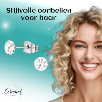 Stalen Kristal Oorbellen met transparant steentje &acirc;&euro;&ldquo; Zilverkleur &acirc;&euro;&ldq