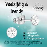 Stalen Kristal Oorbellen met transparant steentje &acirc;&euro;&ldquo; Zilverkleur &acirc;&euro;&ldq