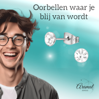 Stalen Kristal Oorbellen met transparant steentje &acirc;&euro;&ldquo; Zilverkleur &acirc;&euro;&ldq