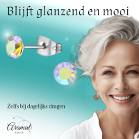 Stalen Kristal Oorbellen met AB transparant steentje &acirc;&euro;&ldquo; Zilverkleur &acirc;&euro;&
